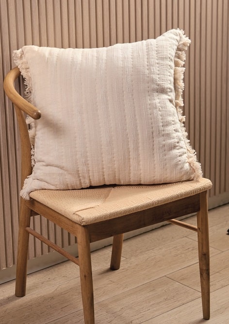 cojín decorativo leo